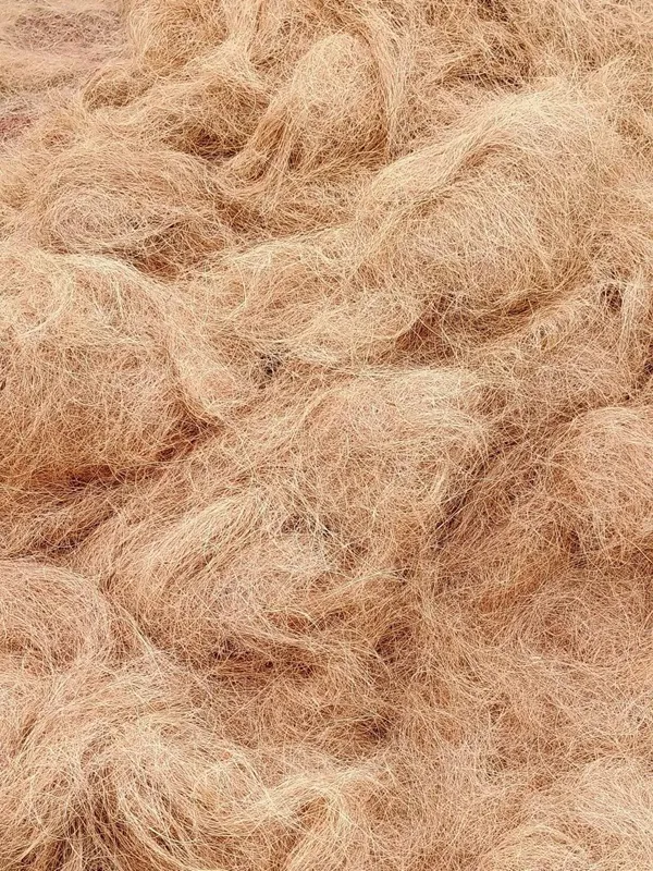 Coir fiber