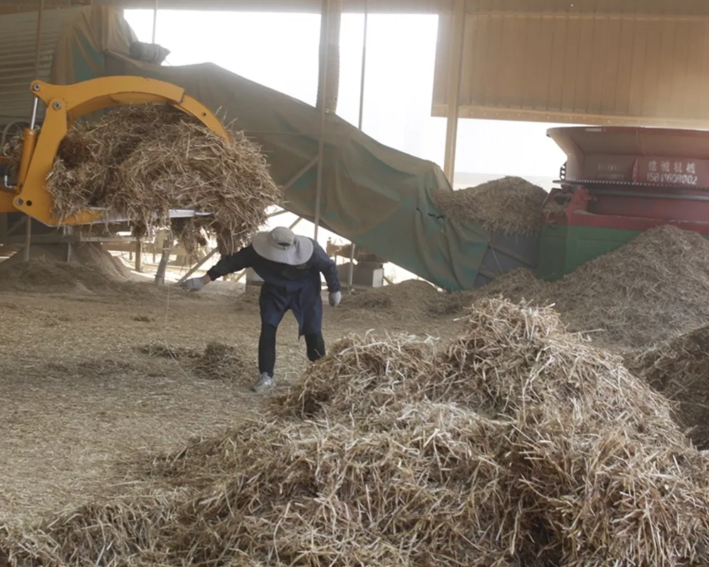 Straw Recycling Companies